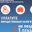 Жителям Тверской области направлены налоговые уведомления за 2024 год - Лихославльский район